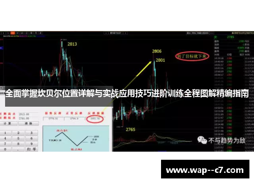 全面掌握坎贝尔位置详解与实战应用技巧进阶训练全程图解精编指南